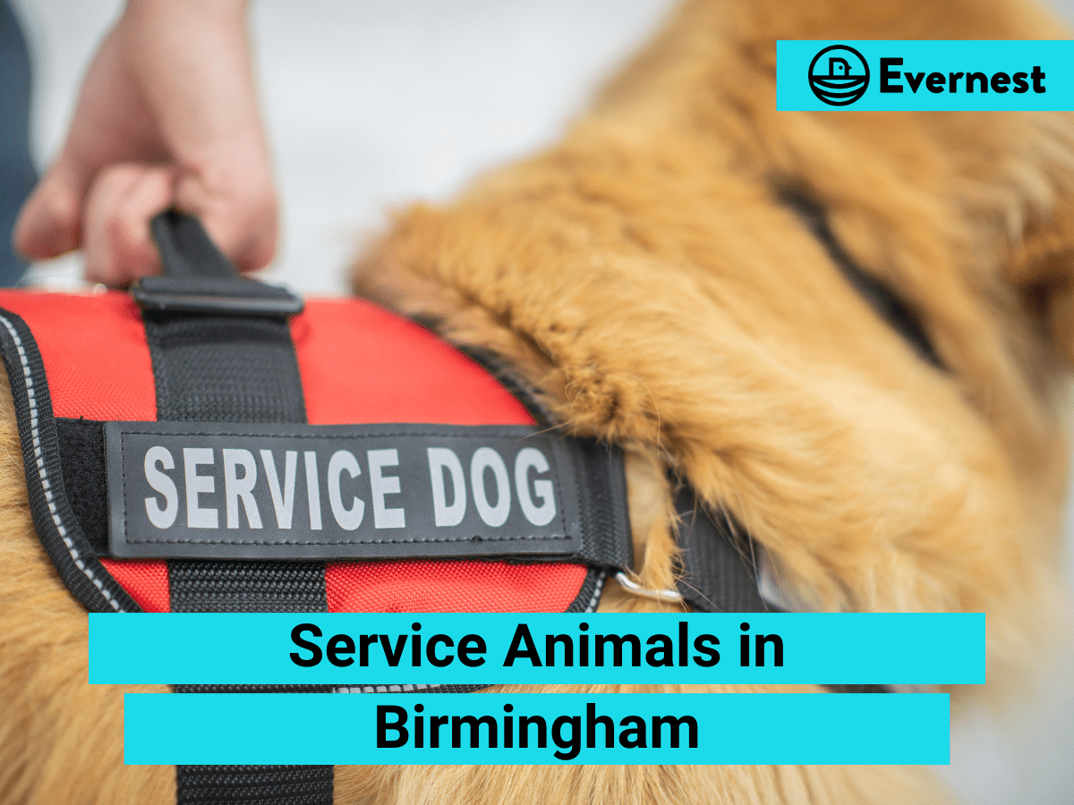 Service Animals: Everything Landlords Need to Know in Birmingham, Alabama